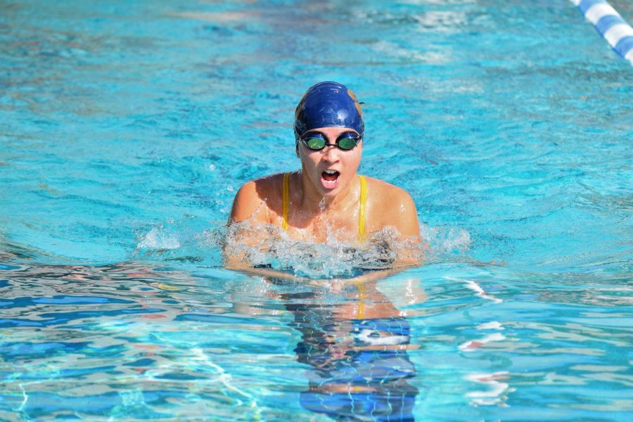Senior Mia Aberg competes in the breast stroke event at the Rosen Center
Swim Meet. 