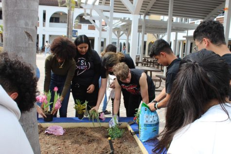 Latinos In Action decorate their planter during seventh period.