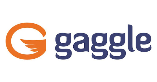 OCPS joins Gaggle Incorporated in an effort to support online student safety. 