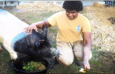Sophomore Joshua Sutton volunteered his pig for the “Kiss The Pig!” fundraiser for FFA.