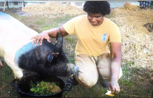 Sophomore Joshua Sutton volunteered his pig for the “Kiss The Pig!” fundraiser for FFA.