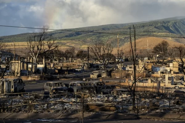 80% of the city Lahaina, Hawaii was destroyed after catastrophic wildfires.