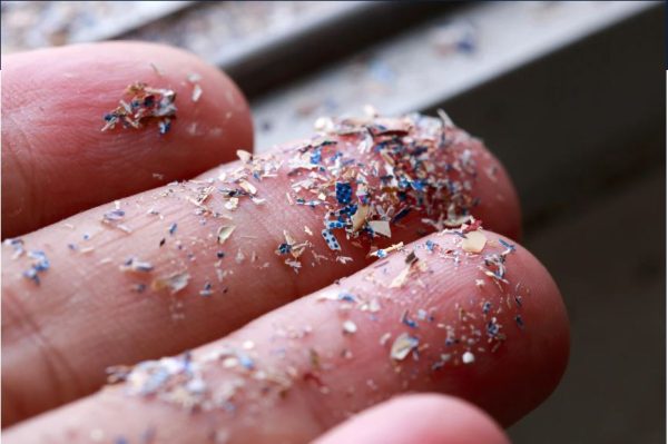 Researchers have found microplastics deep in lungs and in the bloodstream, findings that could spur more research into health consequences of the tiny specks.