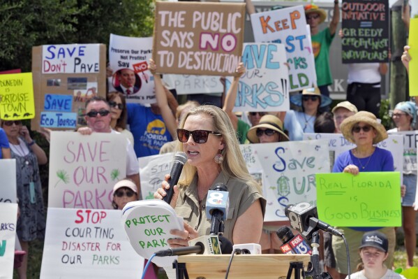 Protestors gather to object the proposed developments.