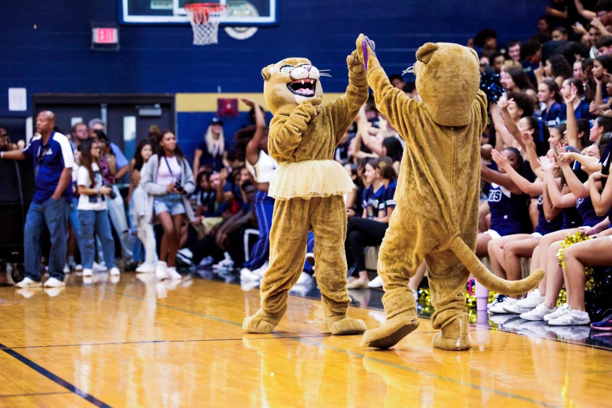 Casey and Cassie the Cougars greeting each other at the Homecoming Pep Rally.