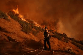 A firefighter battling the flames in Mandeville, Canyon, in Los Angeles.