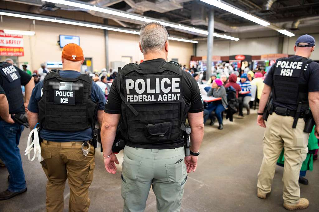 On Trump's first full day of office, ICE arrested 308 illegal migrants.